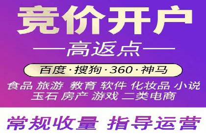 某行业领先企业背后的百度推广代理商策略